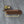 e2adf407-ead9-4db5-9f70-2966df1a67d8