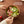 28bdb584-e982-44b5-9b19-344761da990c