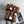 d1696573-7212-4dff-abc0-e768c830567a