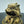 Bronze Pixiu Statue: Feng Shui Wealth and Protection Decor