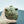 Pure Copper Pig Figurine: Good Fortune Coin Bank Ornament