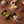 cf2b3d74-0b80-41a1-8a45-ca59d231d081
