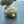 Miniature Brass Poodle Figurine, Adorable Collectible Pet Ornament, Exquisite Small Animal Decoration