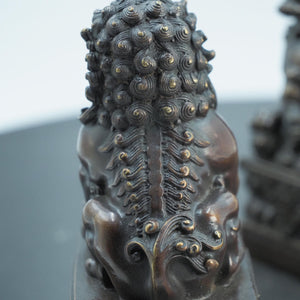 Brass Feng Shui Lion Figurines: Miniature Door Guardians (Set of 2)