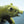 Brass Polar Bear Figurine, Detailed Fur Texture, Majestic and Powerful Pose