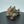 Brass Money Toad Statue: Feng Shui Wealth Charm, Home Decor