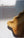 ded6374a-e922-4add-948a-be4a6a22f1bd