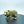 Brass Polar Bear Figurine, Detailed Fur Texture, Majestic and Powerful Pose