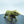 Brass Polar Bear Figurine, Detailed Fur Texture, Majestic and Powerful Pose