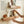 219e16d7-a2ce-4002-bdde-073eeaeaf0be