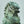 Bronze Guardian Door Lions: Feng Shui Home Protection Statues