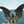 Solid Copper Large Eagle Figurine, Majestic Soaring Pose, Grand Ambitions Eagle Ornament