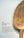 284498db-445e-4949-82e0-595f6fead619