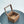 Handmade Walnut Glass-Top Box: Keepsake & Jewelry Organizer