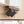 2570ddba-236c-4ce0-beb6-1a3db7bc75de