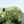 Brass Polar Bear Figurine, Detailed Fur Texture, Majestic and Powerful Pose