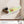 fc3d00f6-7cbe-458f-9358-0d1a6b591e4e